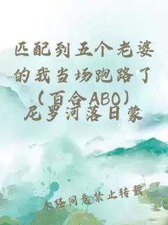 匹配到五个老婆的我当场跑路了（百合ABO）