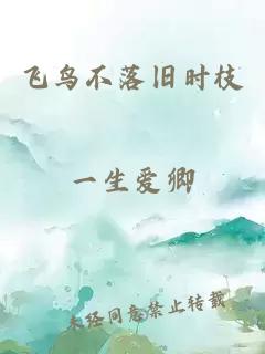 飞鸟不落旧时枝