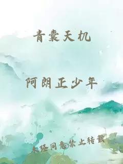 青囊天机