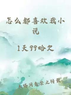 怎么都喜欢我小说