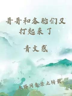 哥哥和备胎们又打起来了