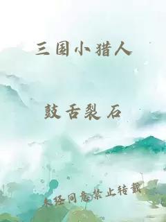 三国小猎人